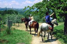 Italy-Tuscany-Seven Castles Ride in Chianti